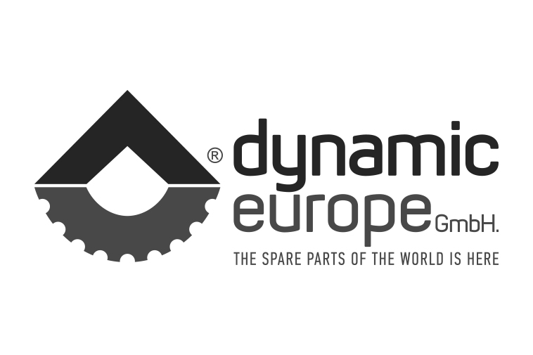 Dynamic Europe 4x6