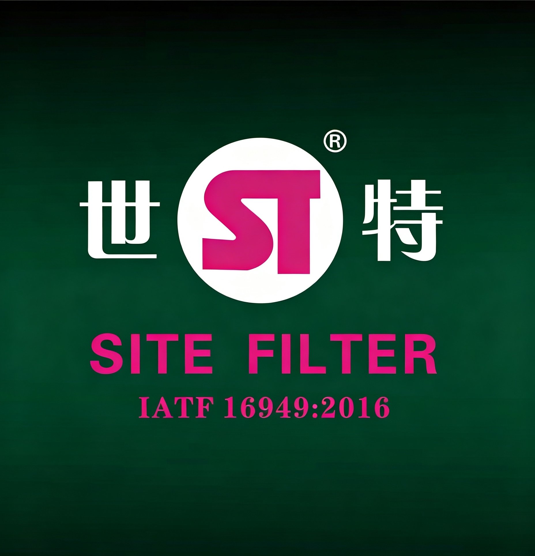 WENZHOU CITY SITE AUTOMOBILE PARTS CO.,LTD
